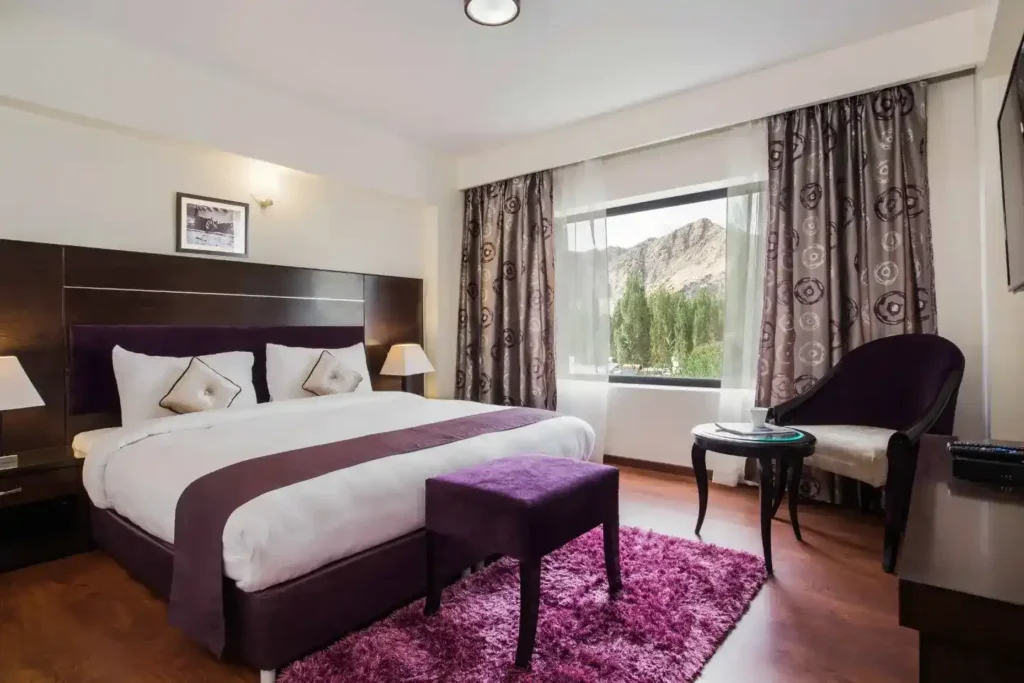 luxury-presidential-suite-singge-palace-leh