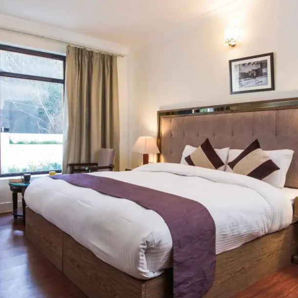singge-palace-super-deluxe-room-mountain-view-stay