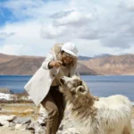 Solo Female Travel in Ladakh: Safety Tips & Secure Stays